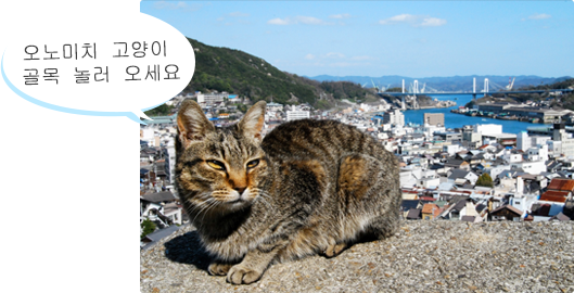 오노미치 고양이 골목 놀러 오세요