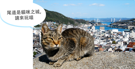 尾道是貓咪之城，請來玩喵♪