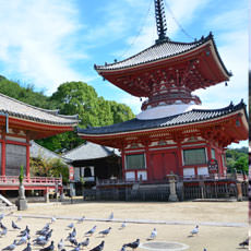 净土寺
